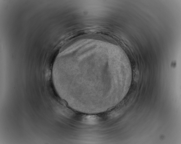 X0000101120324200807241205
