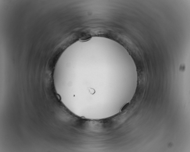 X0000101120327200807241205
