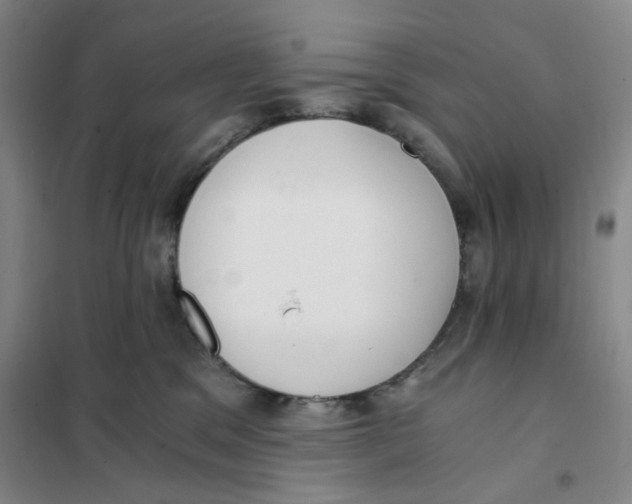 X0000101120329200807241205