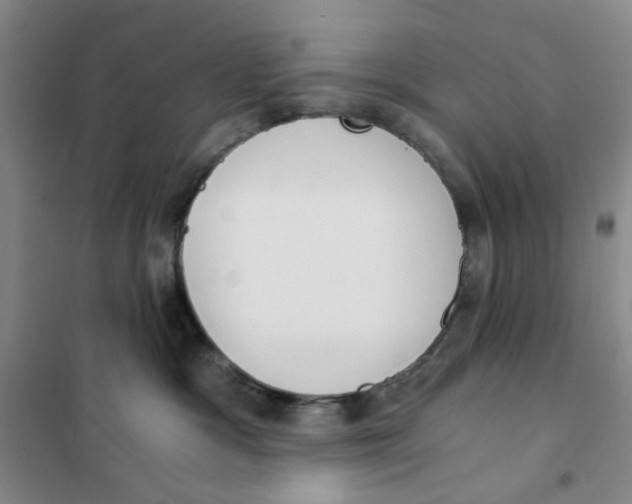 X0000101120333200807241205
