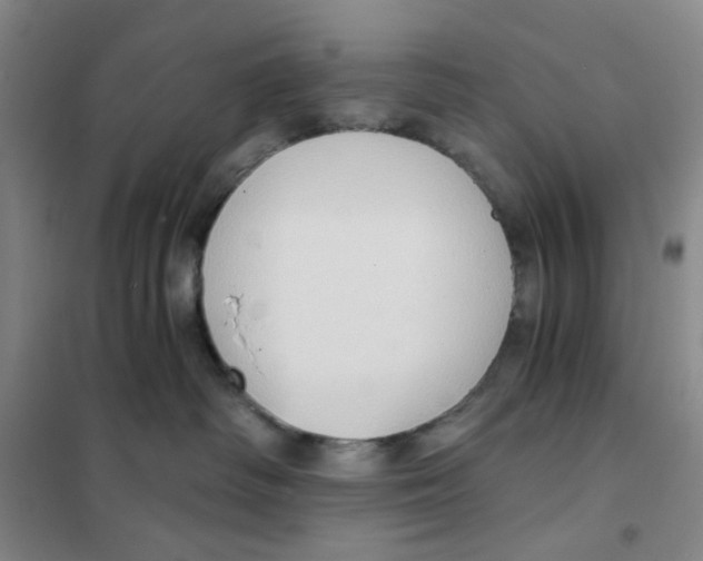 X0000101120334200807241205
