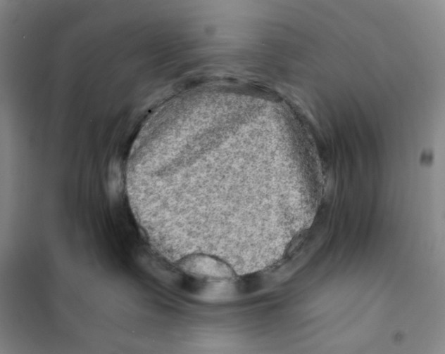 X0000101120335200807241205