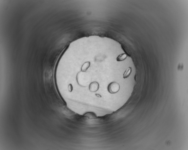 X0000101120336200807241205