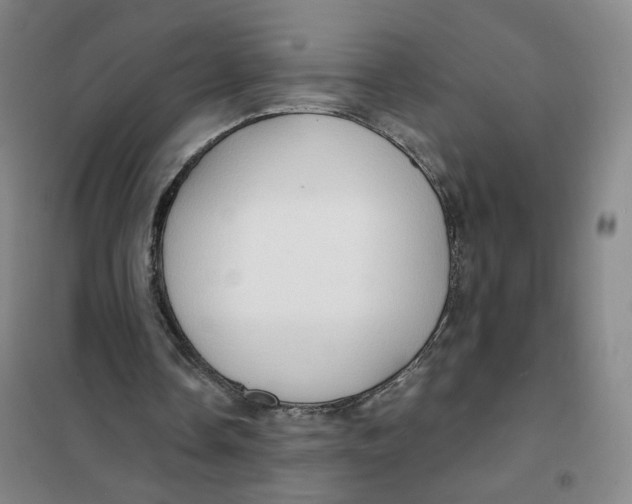 X0000101120338200807241204