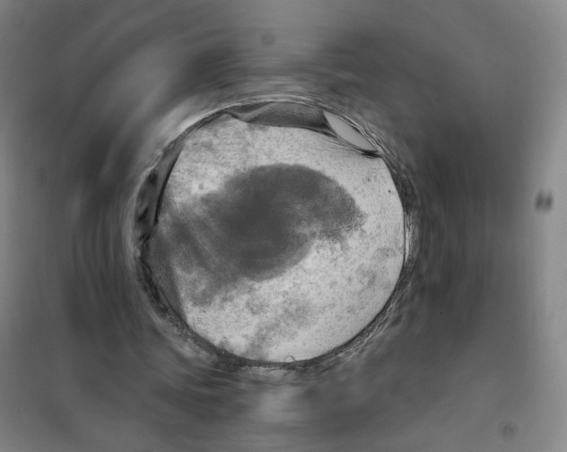 X0000101120339200807241204
