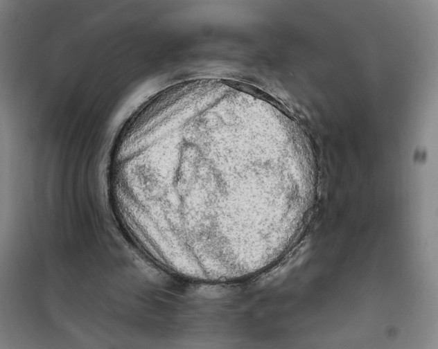 X0000101120341200807241204