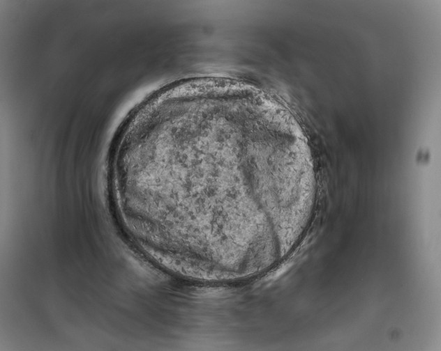 X0000101120342200807241204