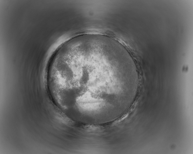 X0000101120343200807241204