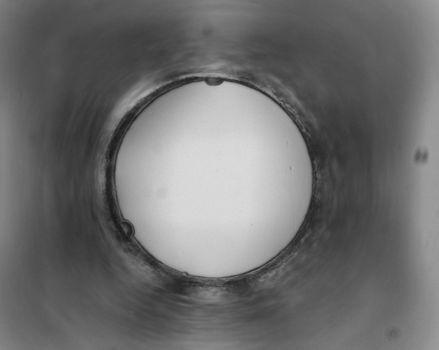 X0000101120344200807241204