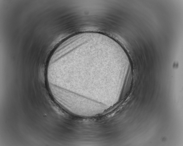X0000101120345200807241204