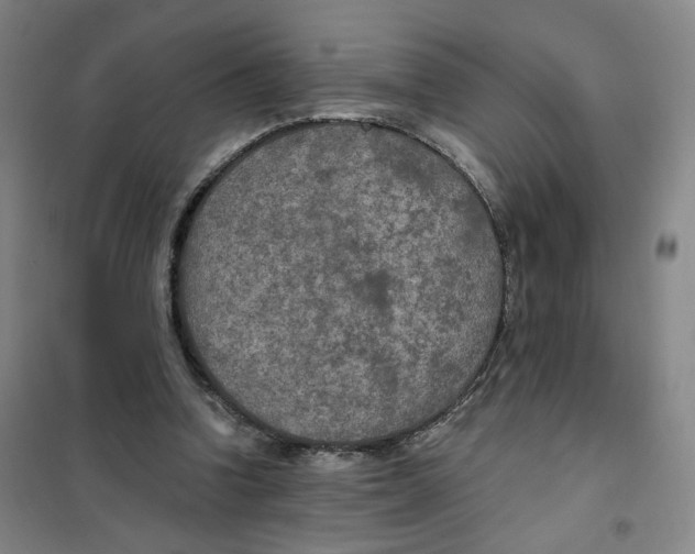 X0000101120346200807241205