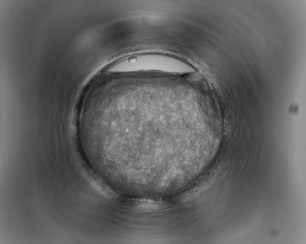 X0000101120347200807241205