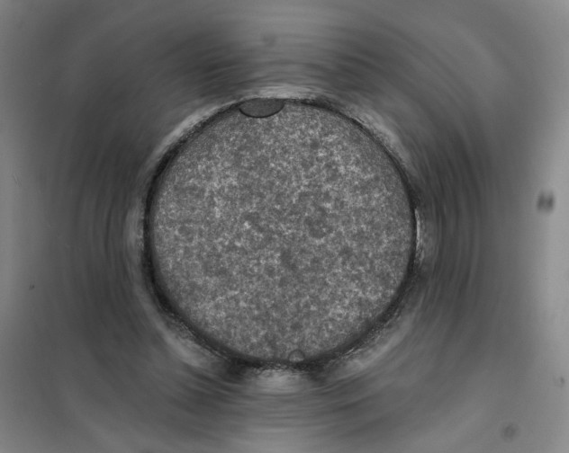 X0000101120348200807241205