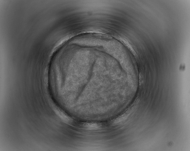 X0000101120349200807241205