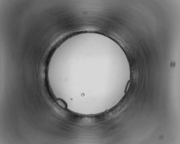 X0000101120350200807241205