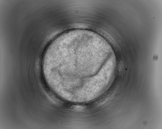 X0000101120352200807241205