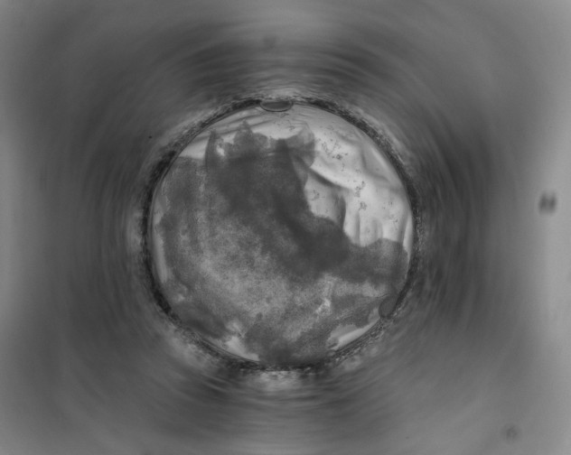 X0000101120353200807241205