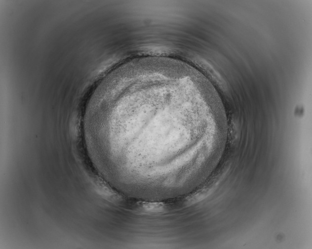 X0000101120355200807241205