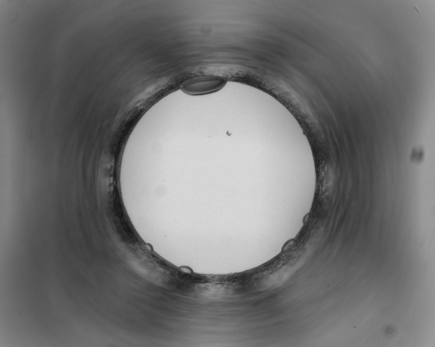 X0000101120356200807241205
