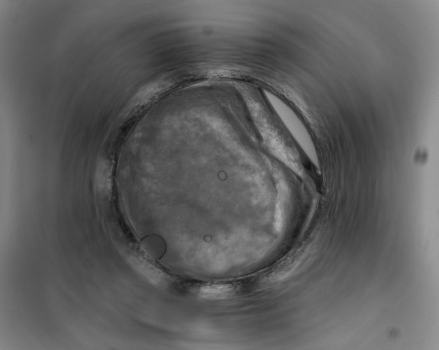 X0000101120357200807241205