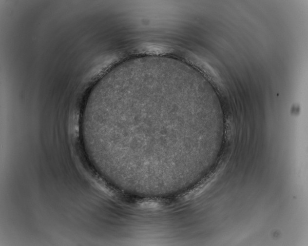 X0000101120358200807241205
