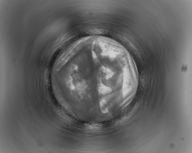 X0000101120359200807241205