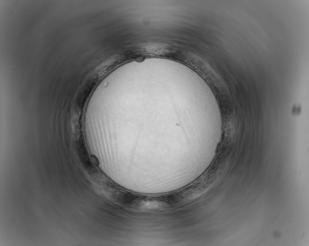 X0000101120360200807241205