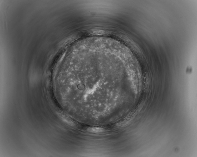X0000101120361200807241205