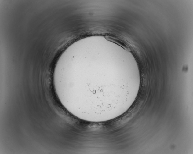 X0000101120362200807241205