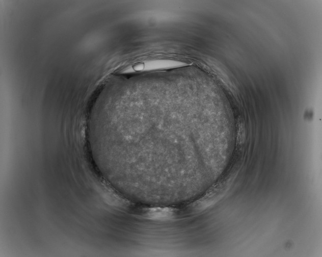 X0000101120363200807241205
