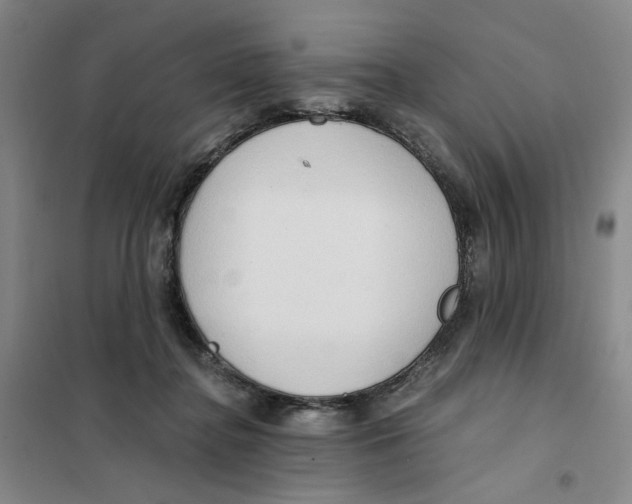 X0000101120364200807241205