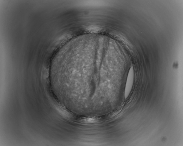 X0000101120365200807241205