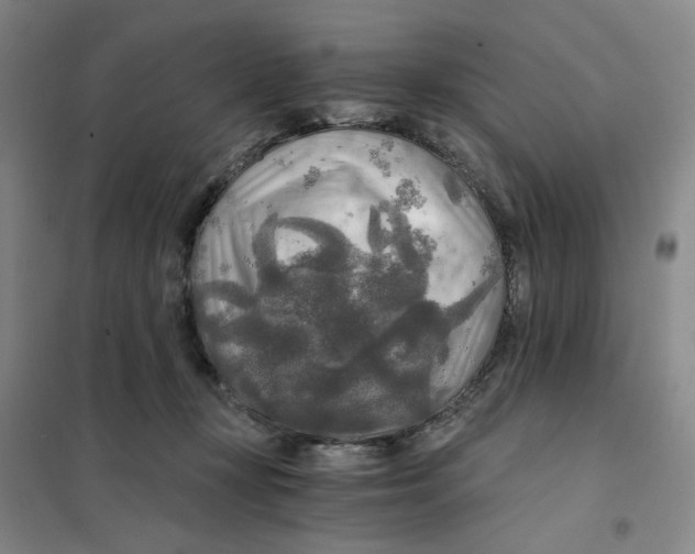 X0000101120367200807241205