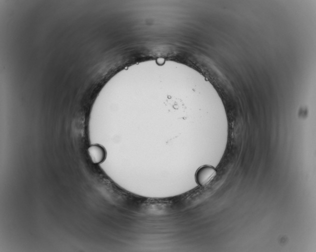 X0000101120368200807241205