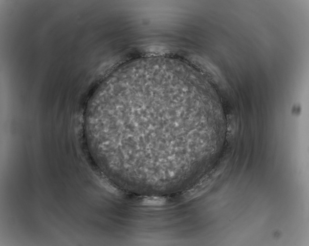 X0000101120369200807241205