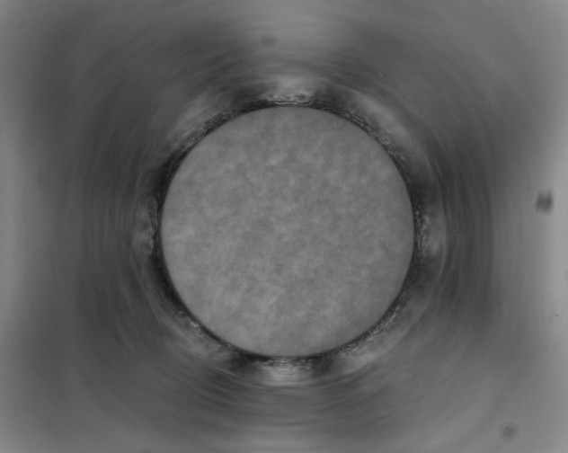 X0000101120370200807241205