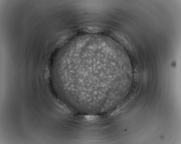 X0000101120371200807241205