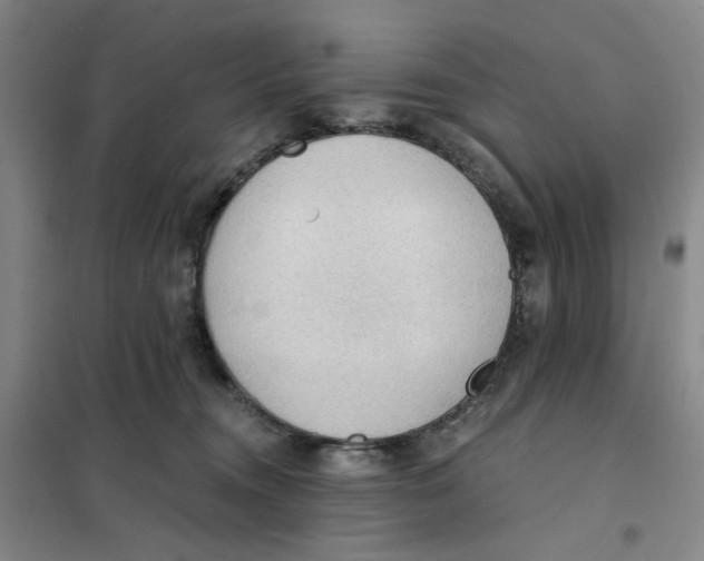 X0000101120372200807241205