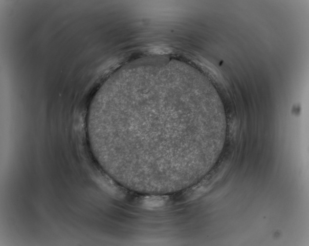 X0000101120373200807241205