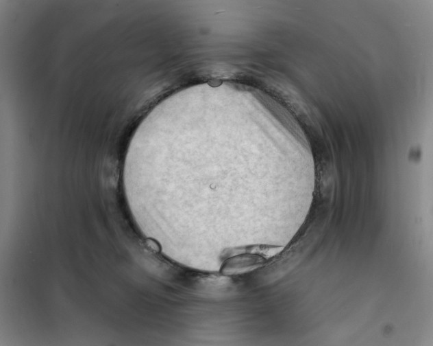 X0000101120374200807241205
