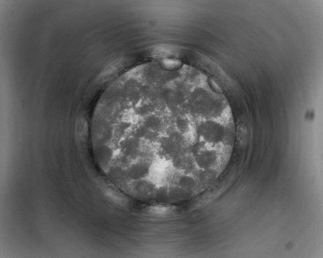 X0000101120375200807241205