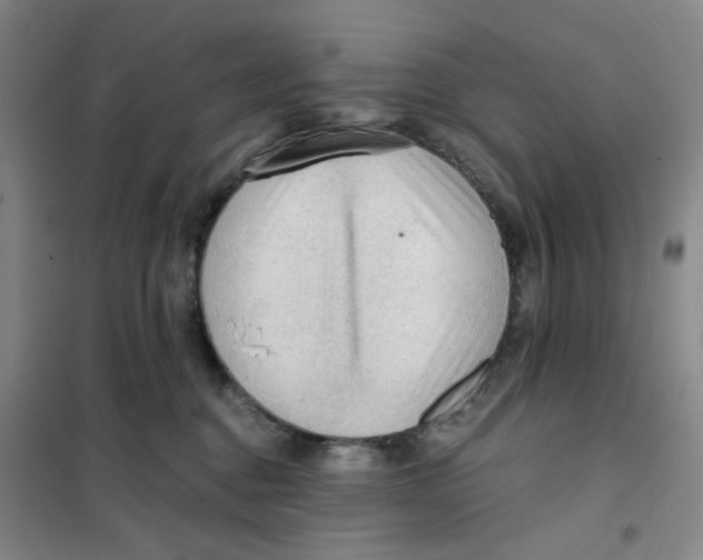 X0000101120376200807241205