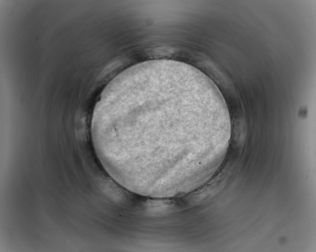 X0000101120378200807241205
