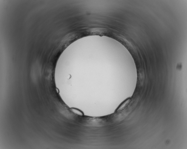X0000101120379200807241205