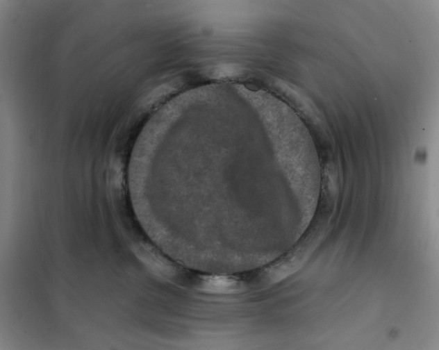 X0000101120380200807241205