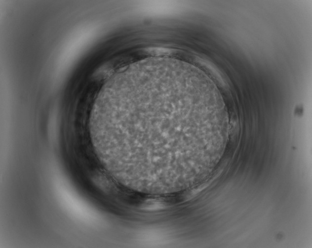 X0000101120381200807241205