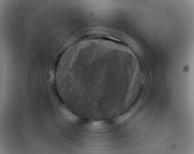 X0000101120382200807241205