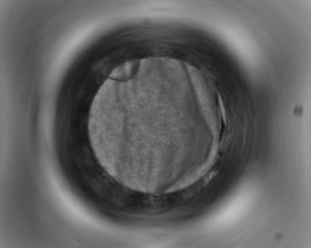 X0000101120383200807241205