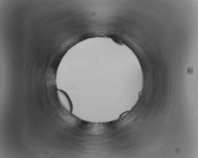 X0000101120384200807241205