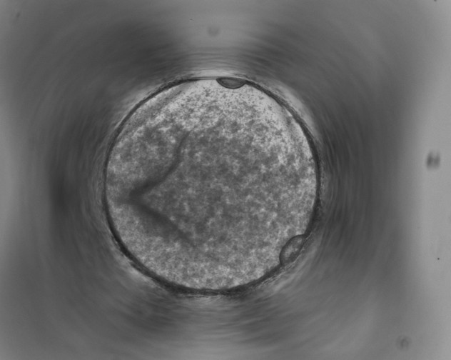 X0000101120385200807241204